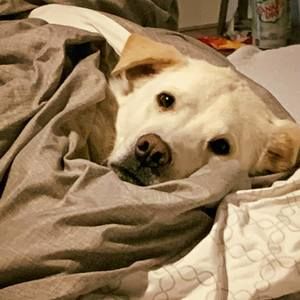 Meet your Posher, Charlotte